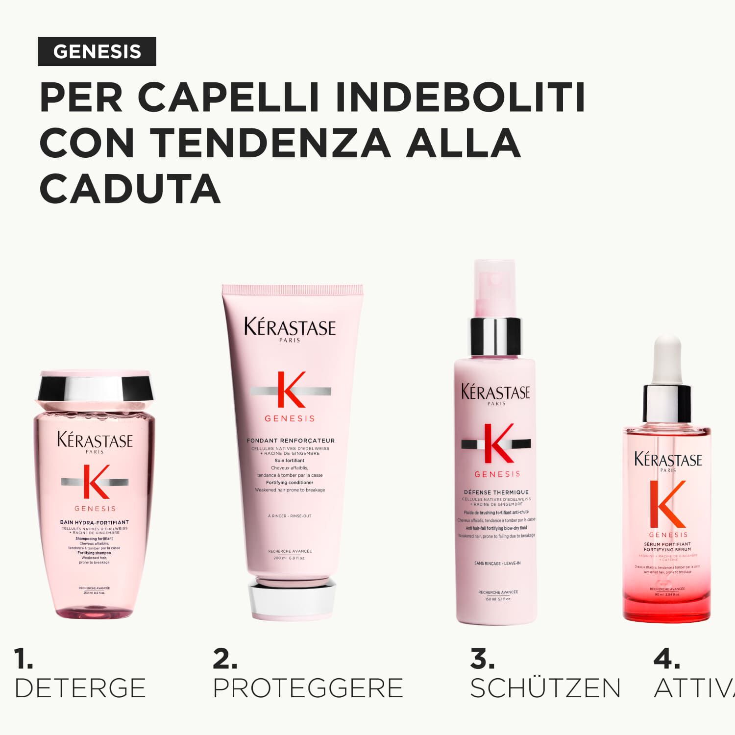 Rituel Deluxe Genesis