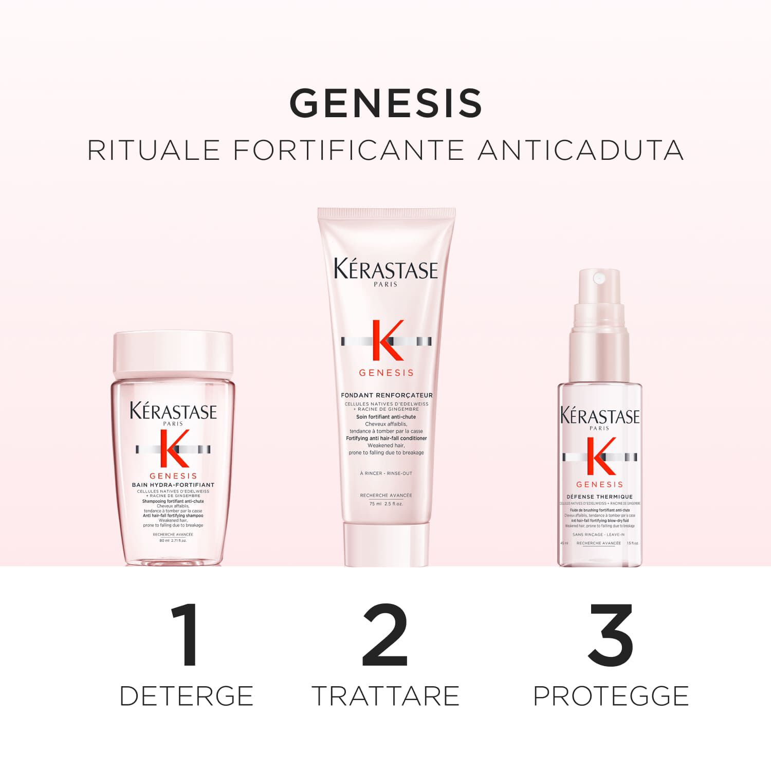 Genesis - Cofanetto di scoperta anticaduta