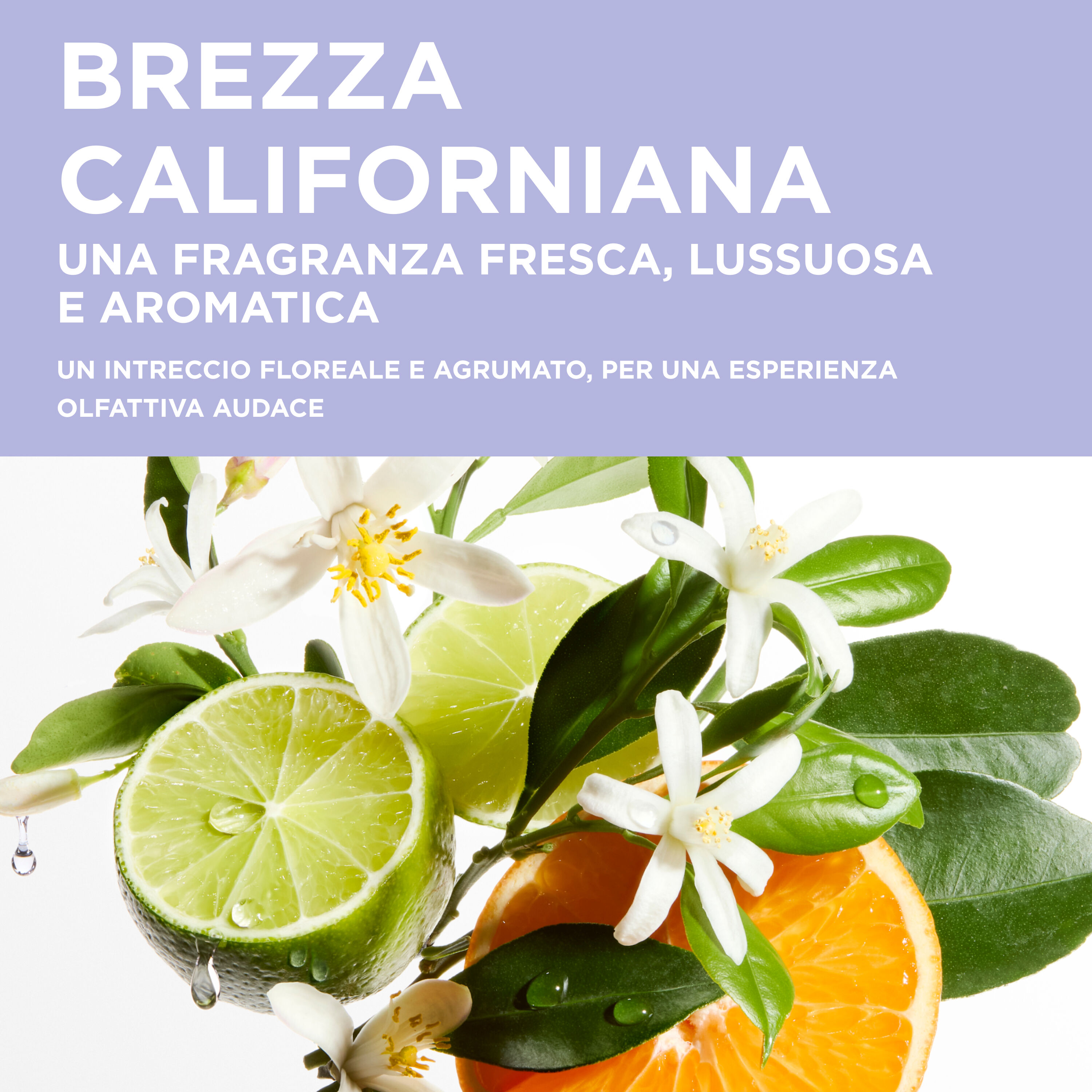 L'HUILE CICAGLOSS RICARICA - 75ML
