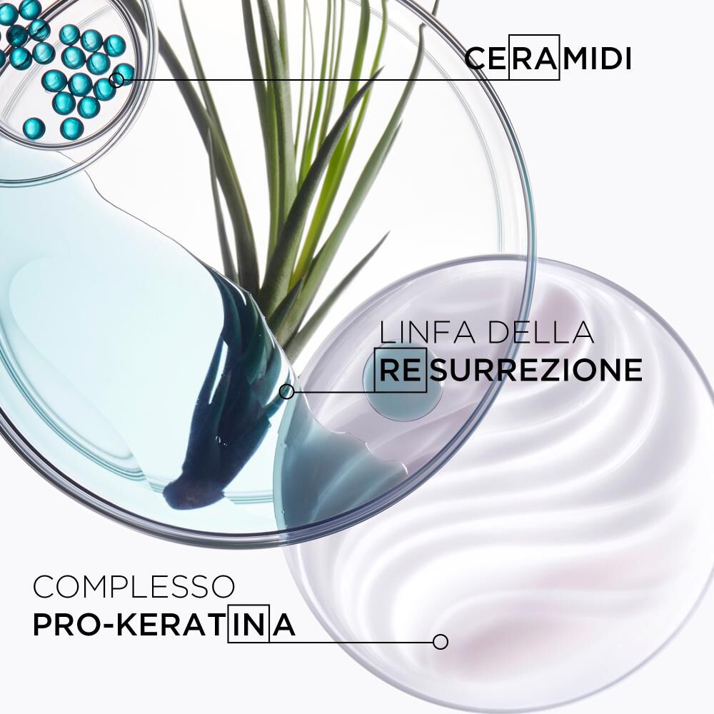 Balsamo Ciment Anti-Usure