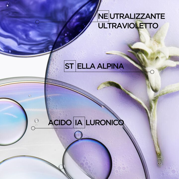 Blond Absolu - Cofanetto Edizione Limitata Capelli Biondi e Decolorati