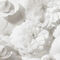 A close-up of delicate white flowers arranged closely together, creating a soft and gentle visual texture.