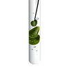 Provette con gel verde e bollicine d\'aria, rappresentante un elemento legato alla scienza o alla natura.
