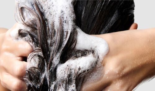 Shampoo