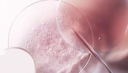Un'immagine che mostra delle bollicine di un liquido rosa, con diversi vetri trasparenti sullo sfondo.