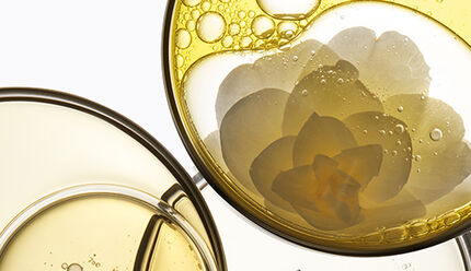 Immagine di due bicchieri trasparenti contenenti liquidi giallo e chiaro, con un fiore galleggiante all'interno.