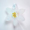 Fiore bianco con dettagli gialli e gocce d\'acqua su sfondo bianco, elegante e delicato.