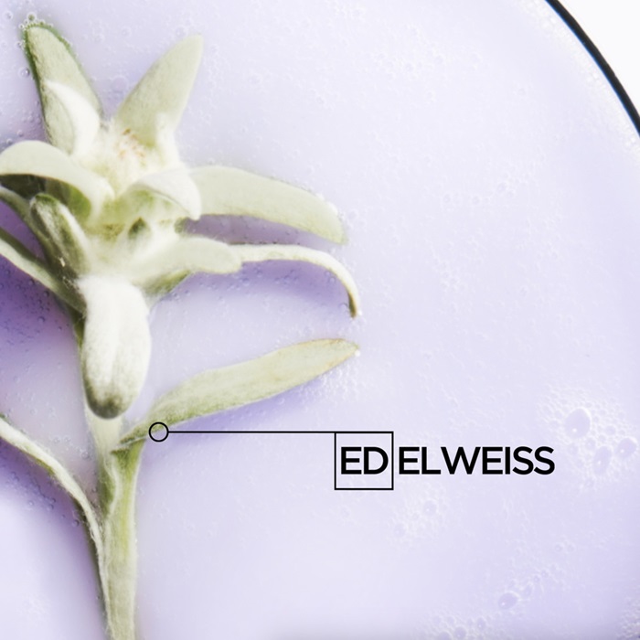 Fior di edelweiss su sfondo viola, evidenziato con testo elegante e moderno.