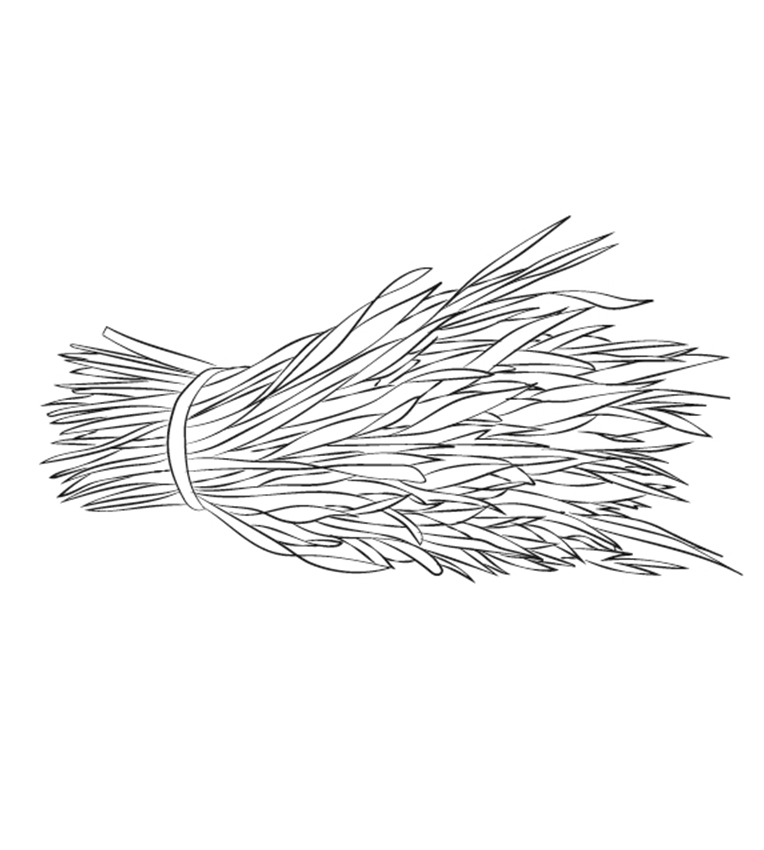Un mazzetto di erbe aromatiche, legato con un filo, raffigurato in un disegno semplice e lineare.
